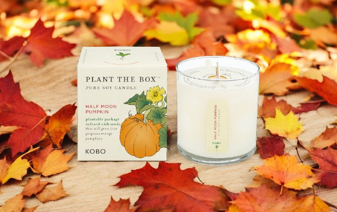 KOBO Half Moon Pumpkin Candle- Plant the Box!