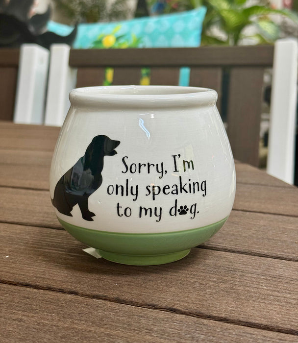 4" Ceramic Pot - Witty Sayings