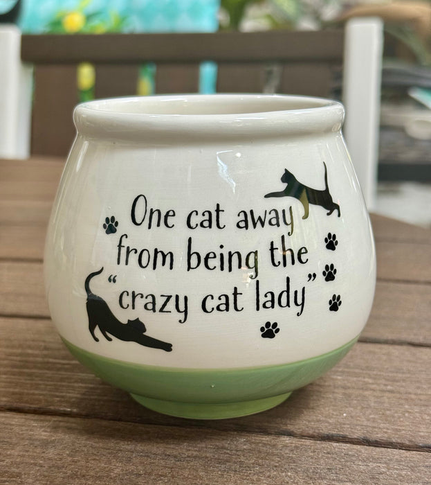 4" Ceramic Pot - Witty Sayings