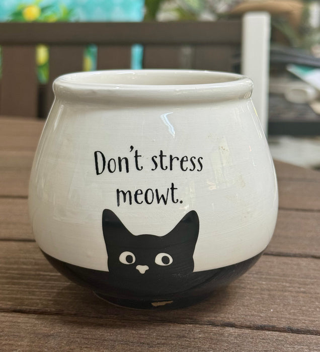 4" Ceramic Pot - Witty Sayings