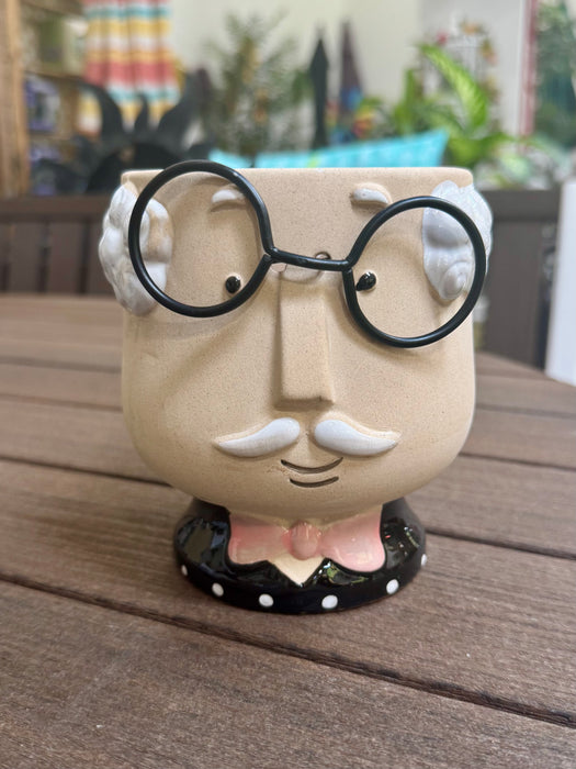 quirky succulent pots 4" Quirky Guy Succulent Pot — Gardens of the World