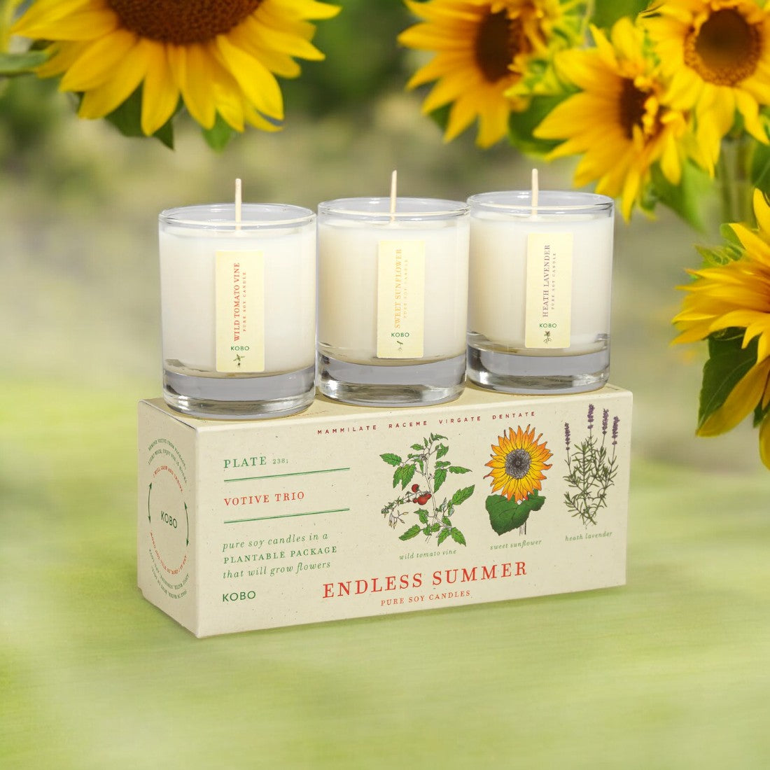 Endless Summer Plant the Box Votive Trio - Thumbnail 5